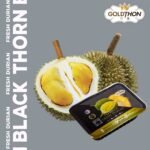 300G FRESH BLACK THORN (D200) 新鲜黑刺榴莲