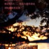 WIZLEO 榴莲威士忌
